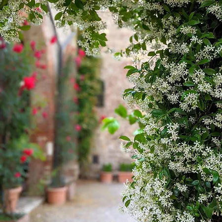 Enchanting